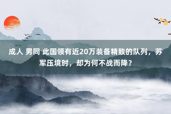 成人 男同 此国领有近20万装备精致的队列，苏军压境时，却为何不战而降？