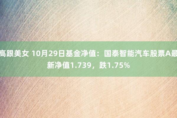 高跟美女 10月29日基金净值：国泰智能汽车股票A最新净值1.739，跌1.75%