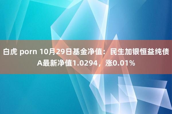 白虎 porn 10月29日基金净值：民生加银恒益纯债A最新净值1.0294，涨0.01%