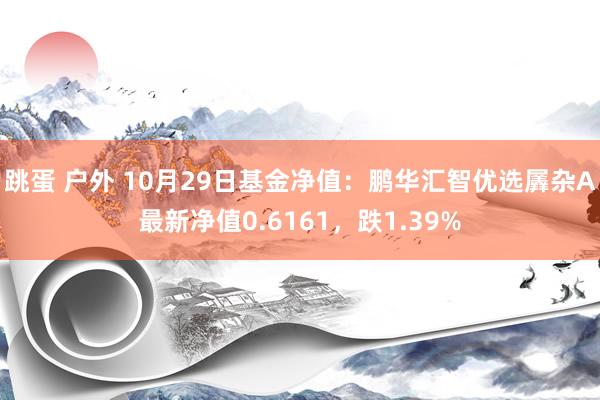 跳蛋 户外 10月29日基金净值：鹏华汇智优选羼杂A最新净值0.6161，跌1.39%