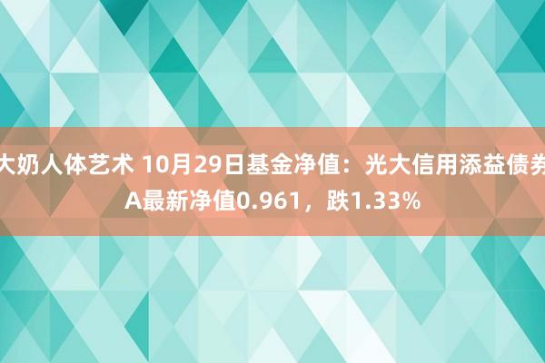 大奶人体艺术 10月29日基金净值：光大信用添益债券A最新净值0.961，跌1.33%