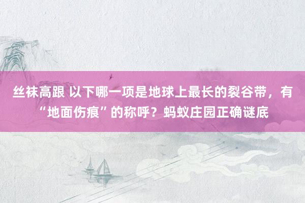 丝袜高跟 以下哪一项是地球上最长的裂谷带，有“地面伤痕”的称呼？蚂蚁庄园正确谜底