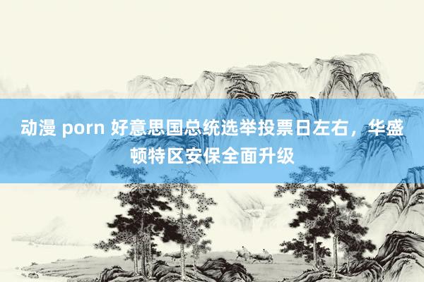 动漫 porn 好意思国总统选举投票日左右，华盛顿特区安保全面升级