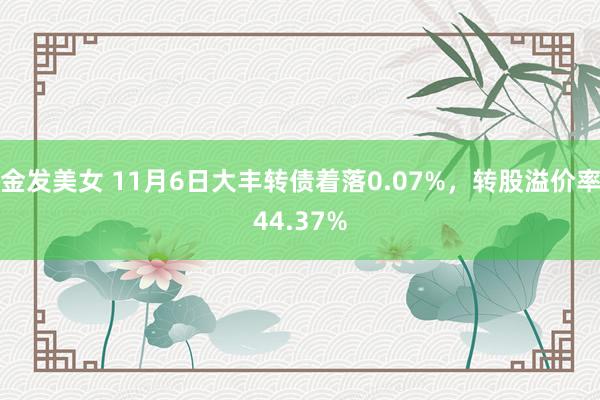 金发美女 11月6日大丰转债着落0.07%，转股溢价率44.37%