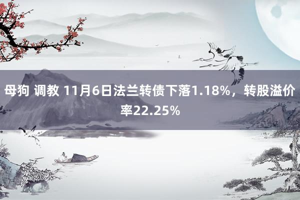 母狗 调教 11月6日法兰转债下落1.18%，转股溢价率22.25%