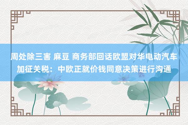 周处除三害 麻豆 商务部回话欧盟对华电动汽车加征关税：中欧正就价钱同意决策进行沟通