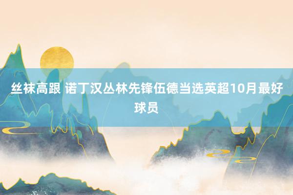 丝袜高跟 诺丁汉丛林先锋伍德当选英超10月最好球员