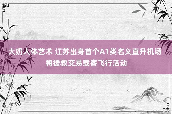 大奶人体艺术 江苏出身首个A1类名义直升机场 将援救交易载客飞行活动