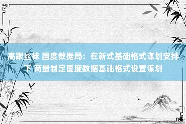 高跟丝袜 国度数据局：在新式基础格式谋划安排下 商量制定国度数据基础格式设置谋划