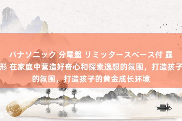 パナソニック 分電盤 リミッタースペース付 露出・半埋込両用形 在家庭中营造好奇心和探索逸想的氛围，打造孩子的黄金成长环境