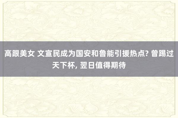 高跟美女 文宣民成为国安和鲁能引援热点? 曾踢过天下杯， 翌日值得期待