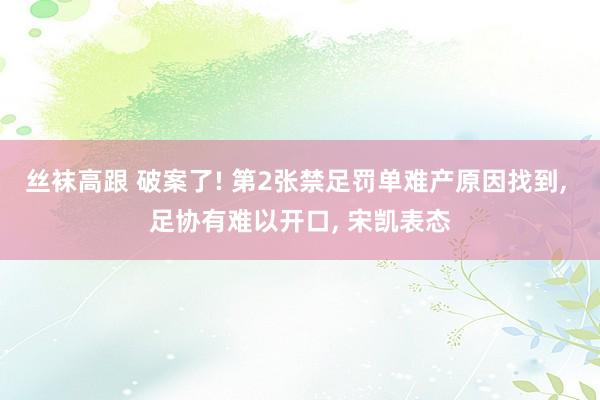 丝袜高跟 破案了! 第2张禁足罚单难产原因找到， 足协有难以开口， 宋凯表态