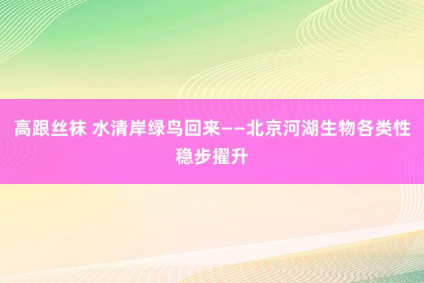 高跟丝袜 水清岸绿鸟回来——北京河湖生物各类性稳步擢升