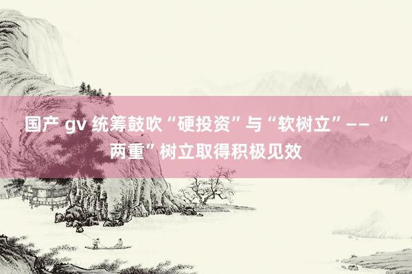 国产 gv 统筹鼓吹“硬投资”与“软树立”—— “两重”树立取得积极见效