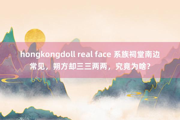 hongkongdoll real face 系族祠堂南边常见，朔方却三三两两，究竟为啥？