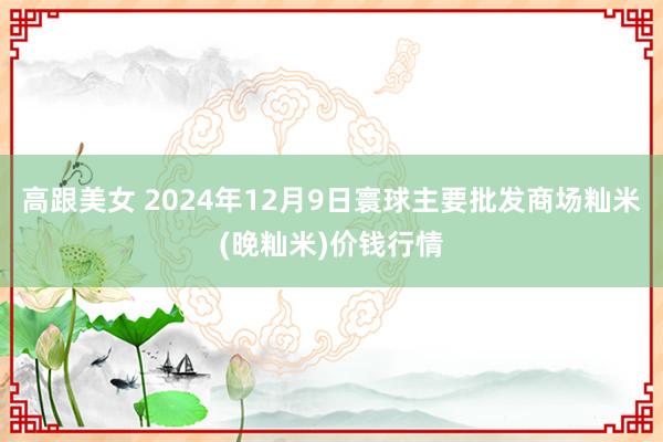 高跟美女 2024年12月9日寰球主要批发商场籼米(晚籼米)价钱行情