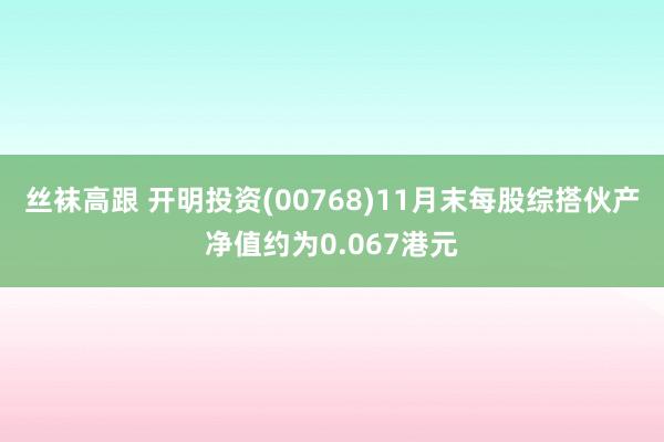 丝袜高跟 开明投资(00768)11月末每股综搭伙产净值约为0.067港元