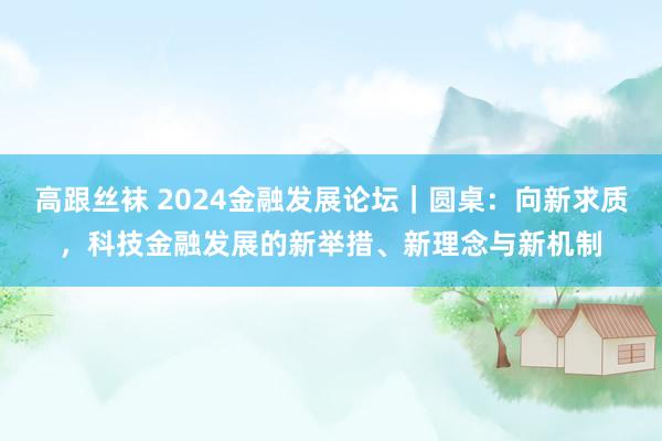 高跟丝袜 2024金融发展论坛｜圆桌：向新求质，科技金融发展的新举措、新理念与新机制