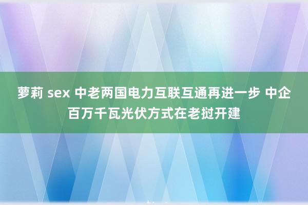 萝莉 sex 中老两国电力互联互通再进一步 中企百万千瓦光伏方式在老挝开建