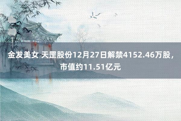 金发美女 天罡股份12月27日解禁4152.46万股，市值约11.51亿元