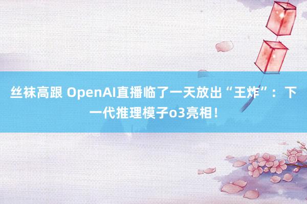 丝袜高跟 OpenAI直播临了一天放出“王炸”：下一代推理模子o3亮相！