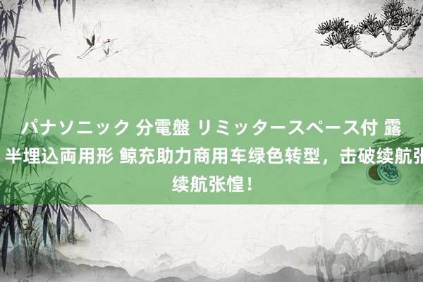 パナソニック 分電盤 リミッタースペース付 露出・半埋込両用形 鲸充助力商用车绿色转型，击破续航张惶！