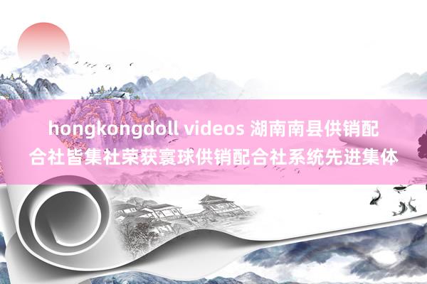 hongkongdoll videos 湖南南县供销配合社皆集社荣获寰球供销配合社系统先进集体