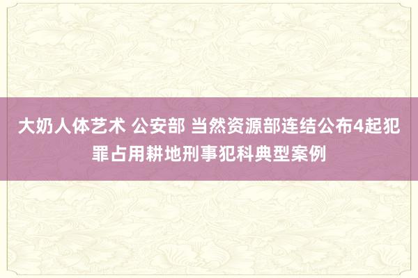 大奶人体艺术 公安部 当然资源部连结公布4起犯罪占用耕地刑事犯科典型案例