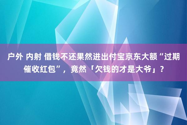 户外 内射 借钱不还果然进出付宝京东大额“过期催收红包”，竟然「欠钱的才是大爷」？