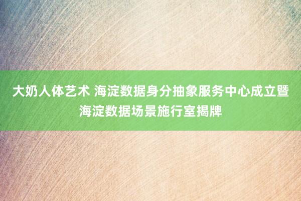 大奶人体艺术 海淀数据身分抽象服务中心成立暨海淀数据场景施行室揭牌