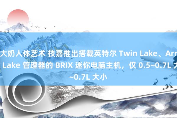 大奶人体艺术 技嘉推出搭载英特尔 Twin Lake、Arrow Lake 管理器的 BRIX 迷你电脑主机，仅 0.5~0.7L 大小