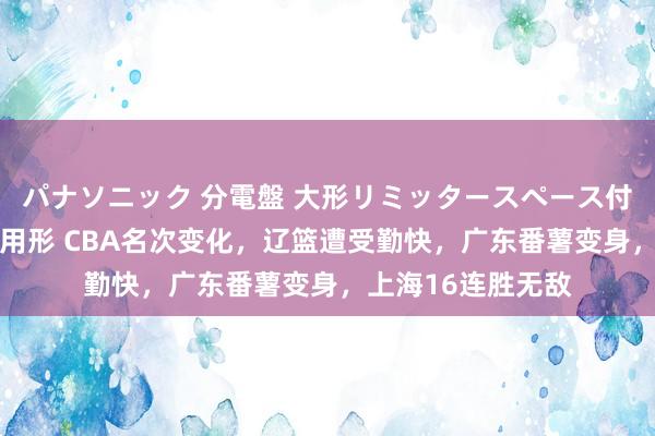 パナソニック 分電盤 大形リミッタースペース付 露出・半埋込両用形 CBA名次变化，辽篮遭受勤快，广东番薯变身，上海16连胜无敌