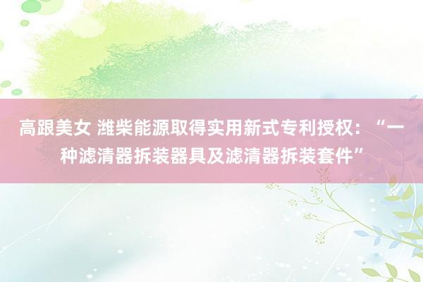 高跟美女 潍柴能源取得实用新式专利授权：“一种滤清器拆装器具及滤清器拆装套件”