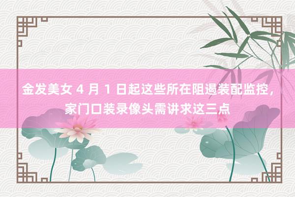 金发美女 4 月 1 日起这些所在阻遏装配监控，家门口装录像头需讲求这三点