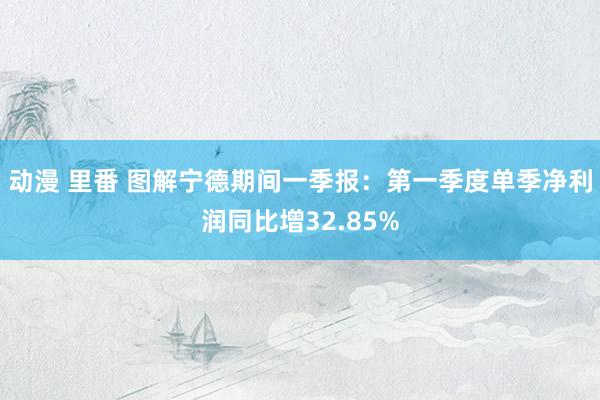 动漫 里番 图解宁德期间一季报：第一季度单季净利润同比增32.85%